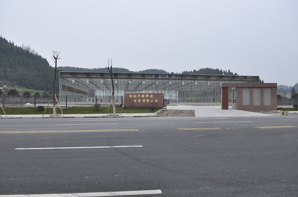 綿陽(yáng)興隆公司廠房